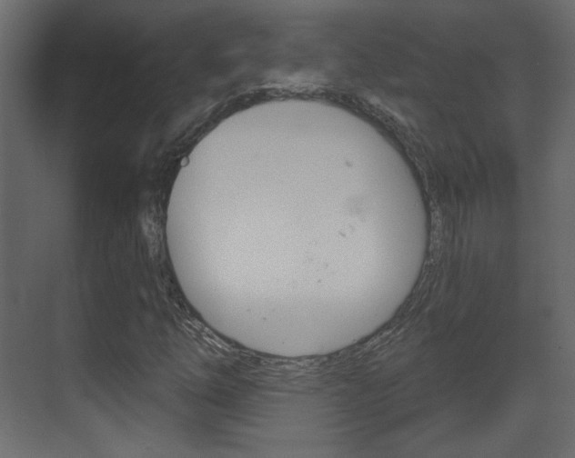 X0000070201254200605261027