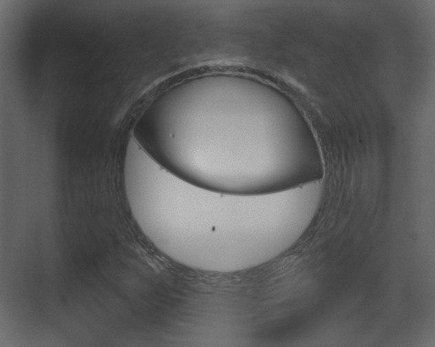 X0000070201255200605261027