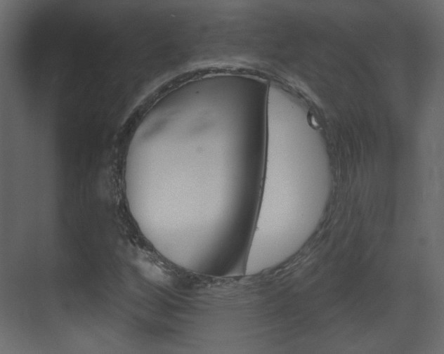 X0000070201256200605261027
