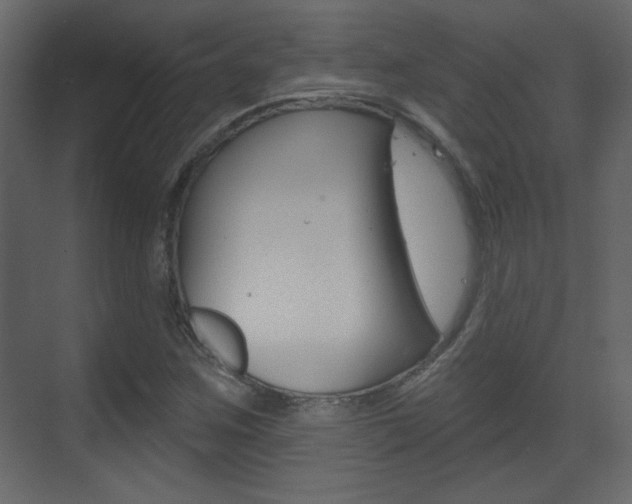 X0000070201259200605261027