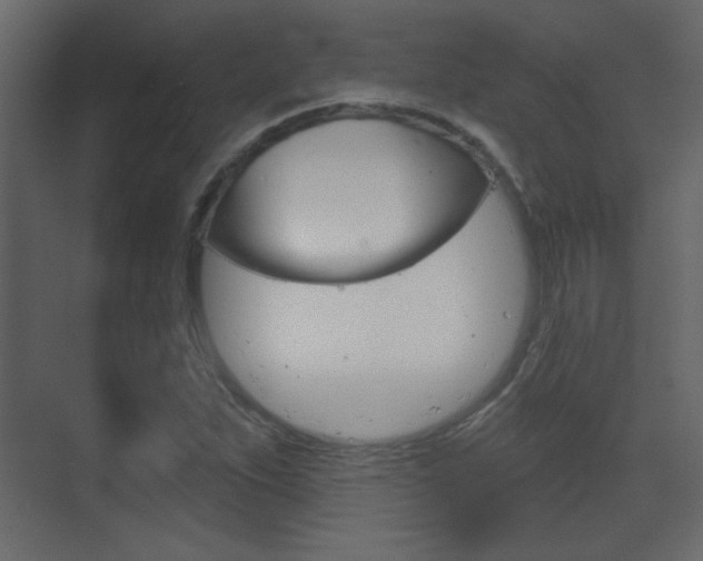 X0000070201263200605261027