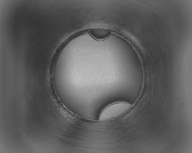 X0000070201264200605261027