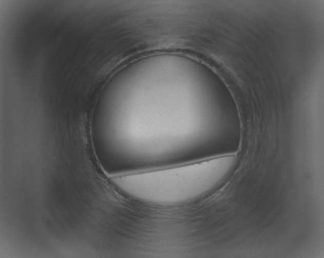 X0000070201265200605261027