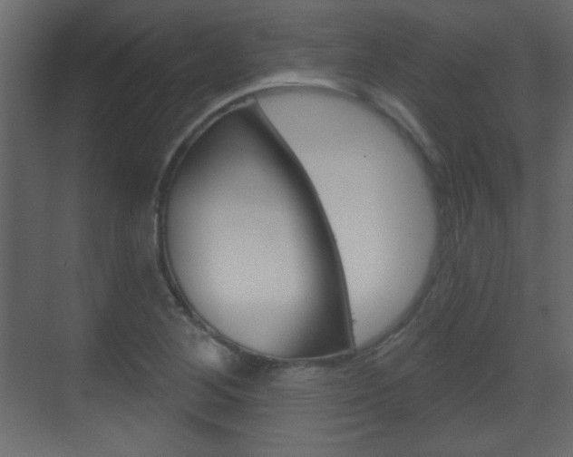 X0000070201268200605261027