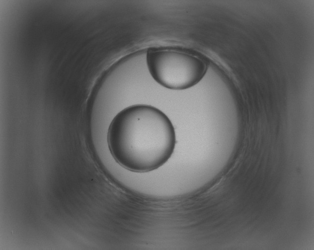 X0000070201269200605261027