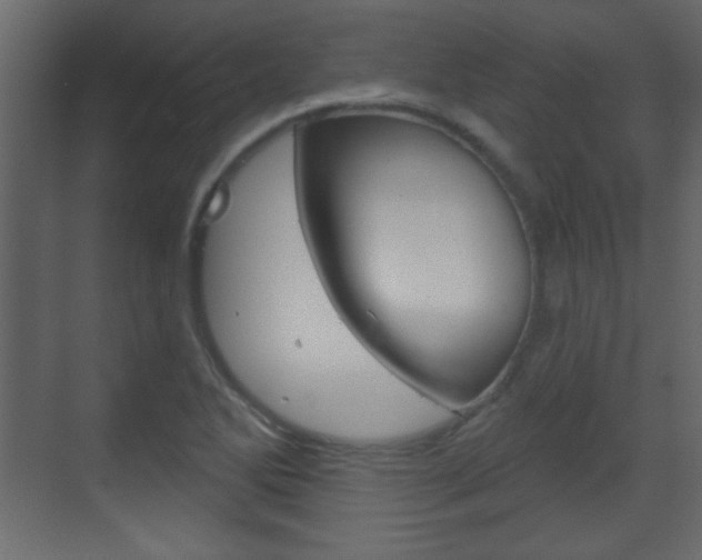 X0000070201270200605261027