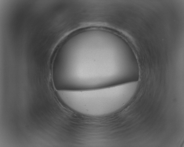 X0000070201271200605261027