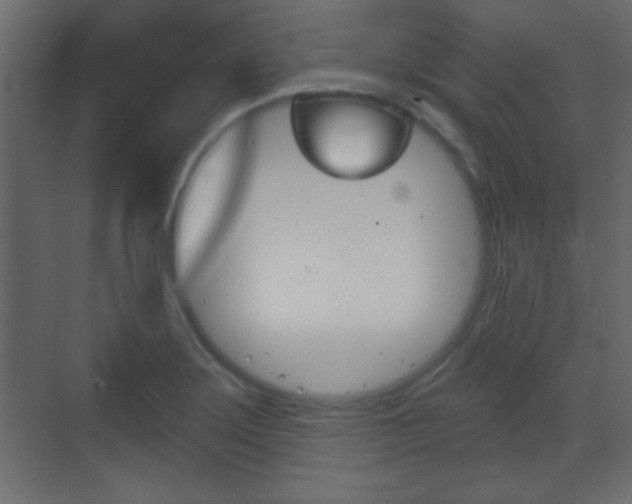 X0000070201275200605261026