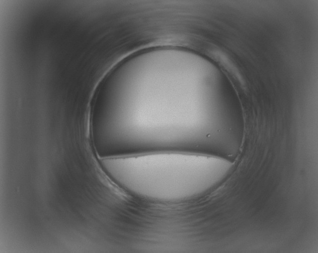X0000070201276200605261026