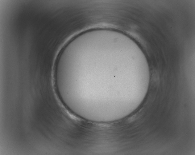 X0000070201278200605261026