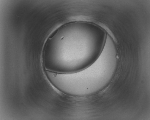 X0000070201285200605261026