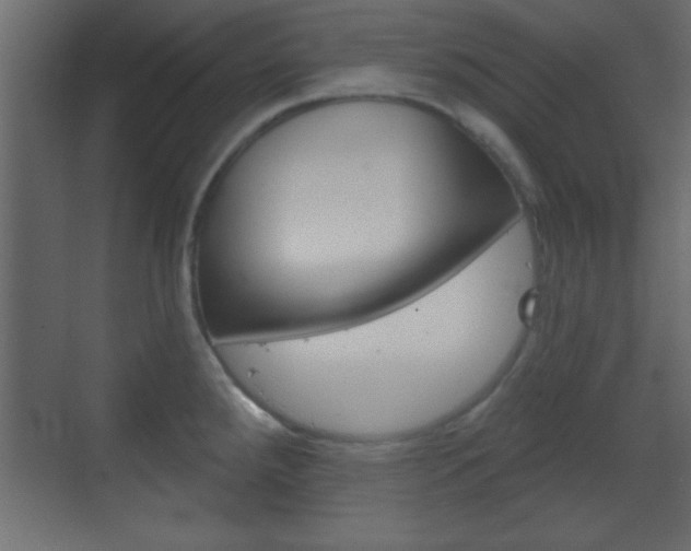 X0000070201288200605261026