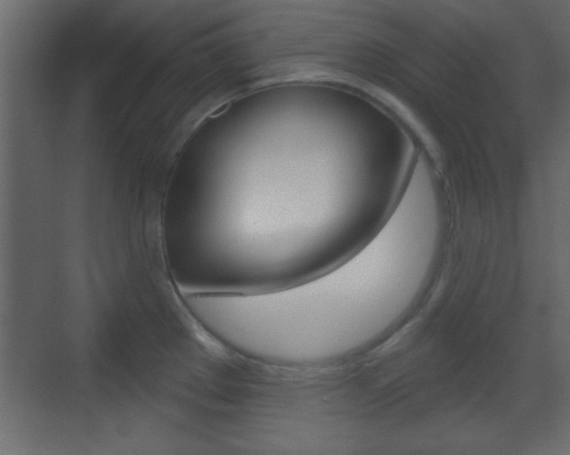 X0000070201289200605261026