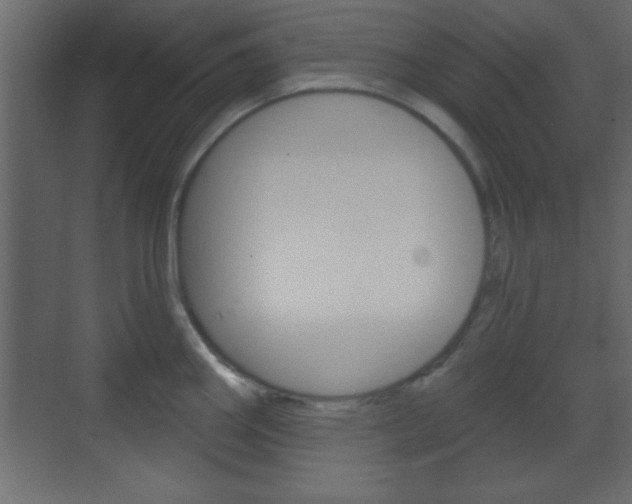 X0000070201290200605261026