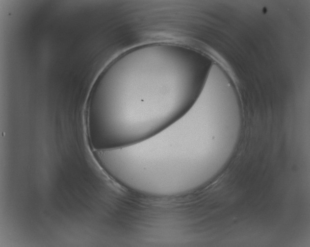 X0000070201291200605261026