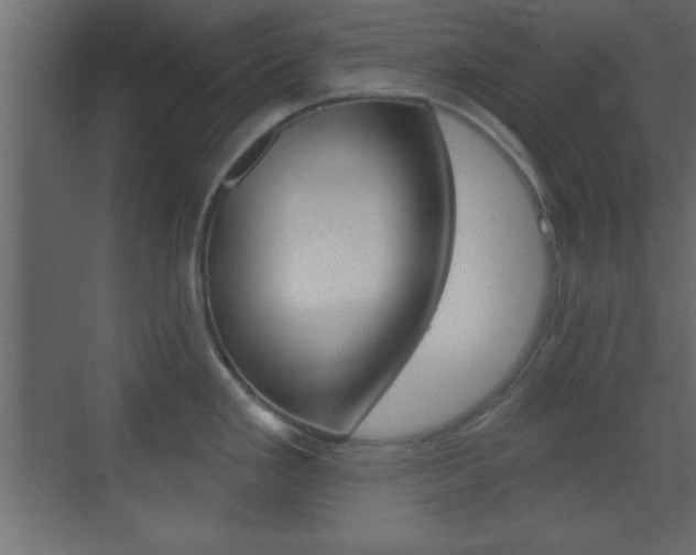 X0000070201293200605261026