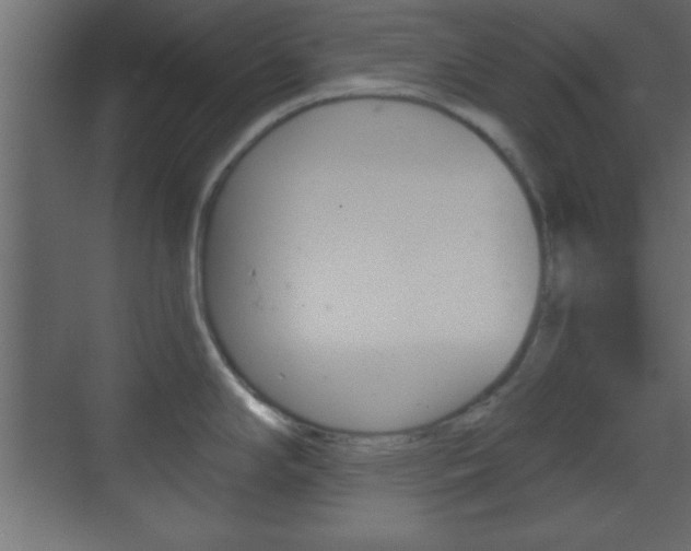 X0000070201294200605261026