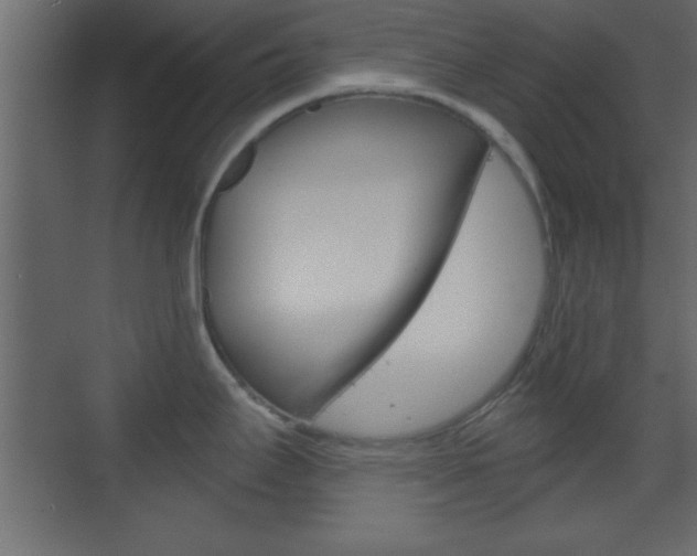 X0000070201295200605261026