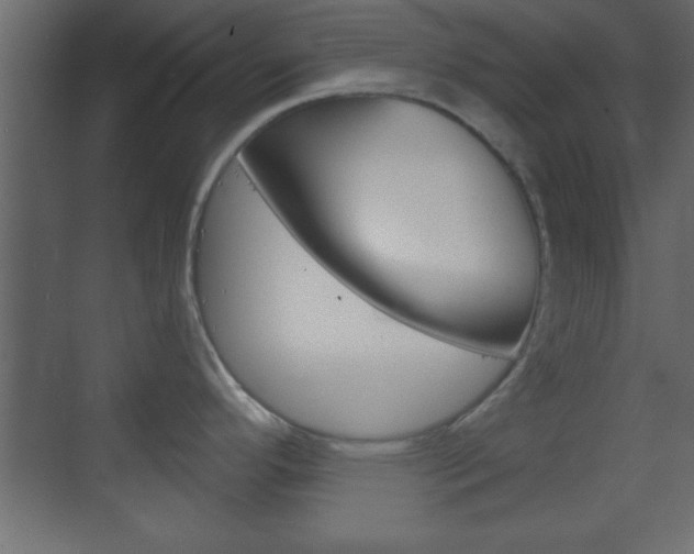 X0000070201296200605261026