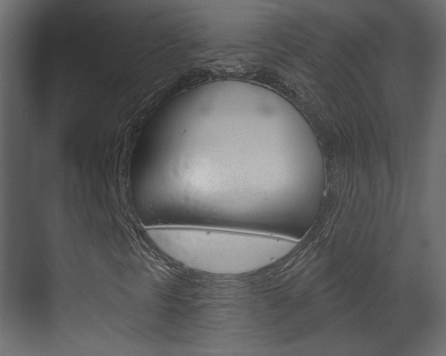 X0000070201297200605261025