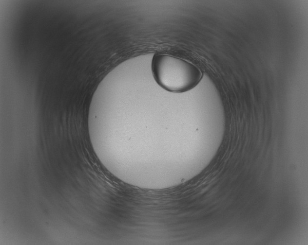 X0000070201298200605261025