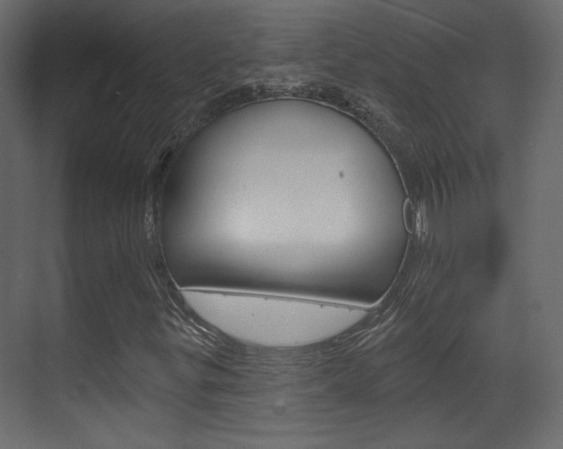 X0000070201299200605261025