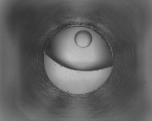 X0000070201302200605261025
