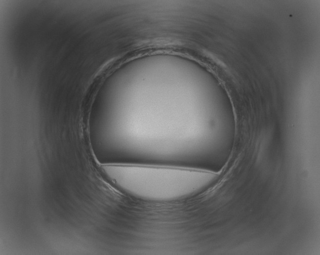 X0000070201306200605261025