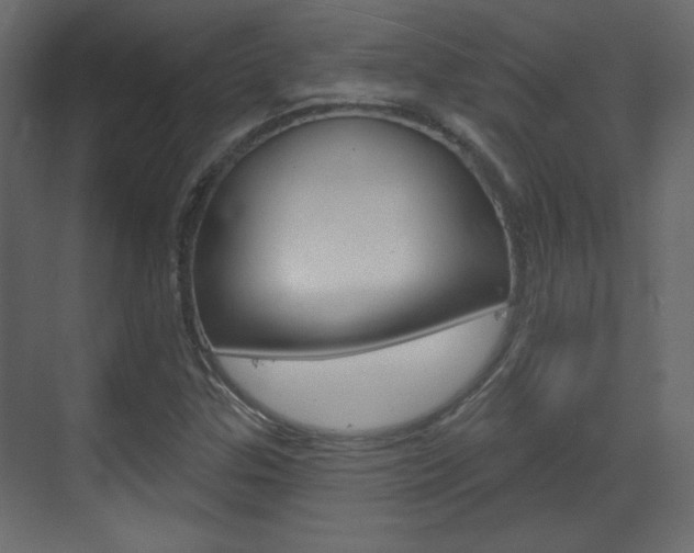 X0000070201307200605261025