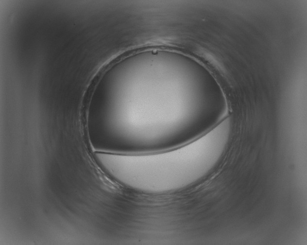 X0000070201308200605261025