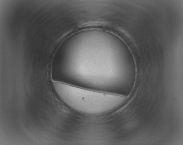 X0000070201313200605261026