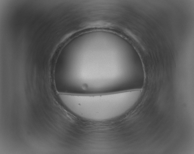 X0000070201315200605261026