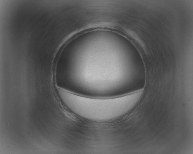 X0000070201316200605261026