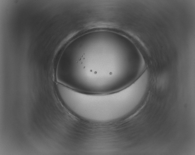 X0000070201317200605261026