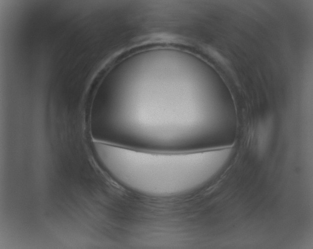 X0000070201318200605261026