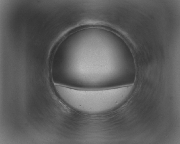 X0000070201319200605261026