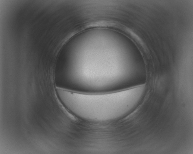 X0000070201329200605261026