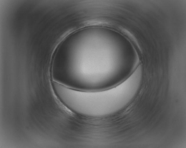 X0000070201330200605261026
