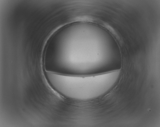 X0000070201331200605261026