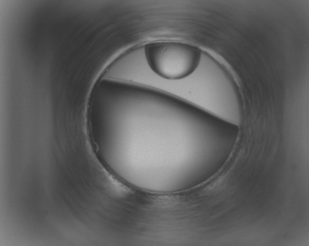 X0000070201333200605261026