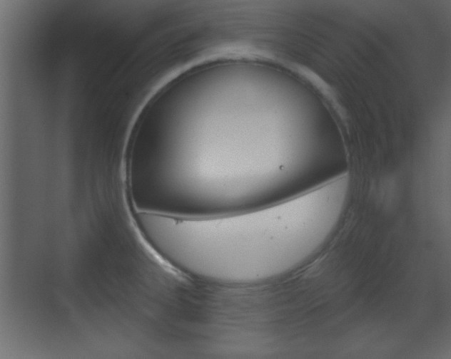 X0000070201335200605261026
