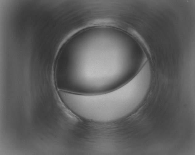 X0000070201336200605261026
