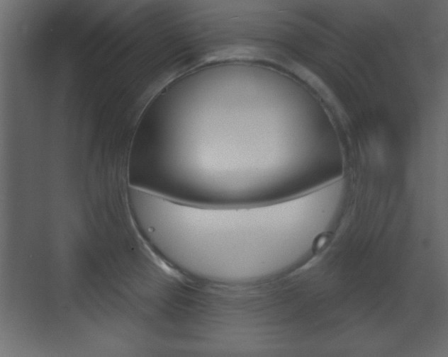 X0000070201337200605261026