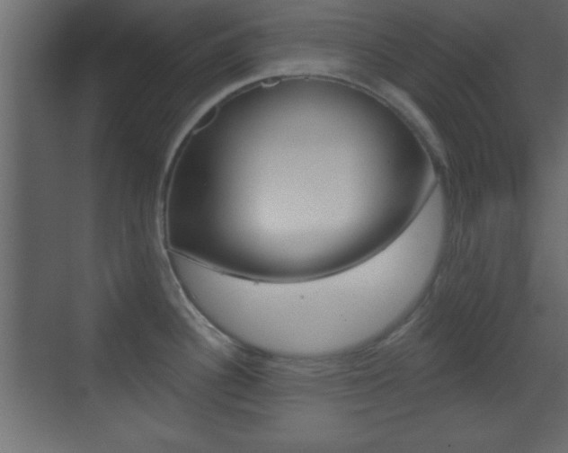 X0000070201340200605261026