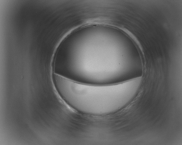 X0000070201341200605261026