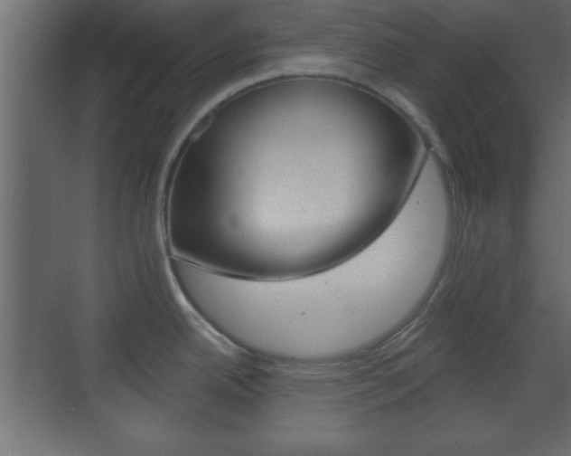 X0000070201342200605261026
