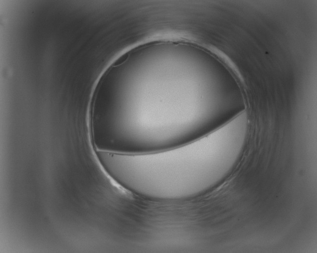 X0000070201343200605261026