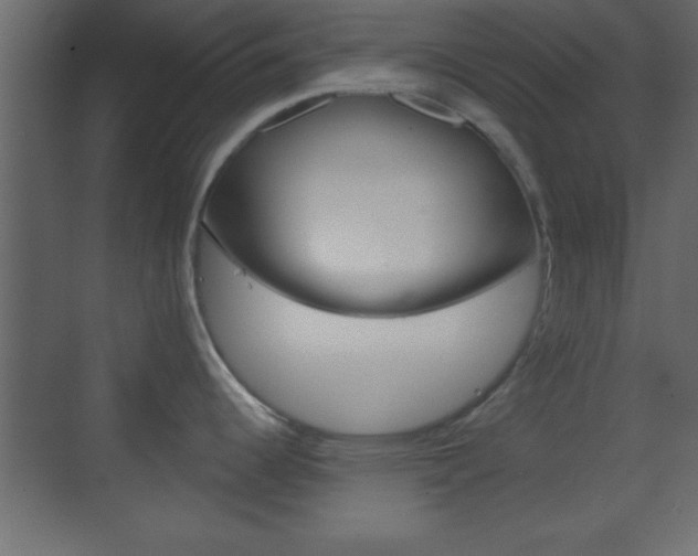 X0000070201344200605261026