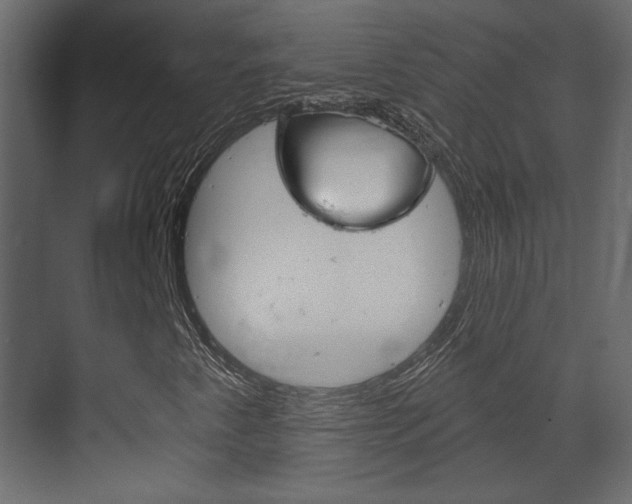 X0000070201345200605261025