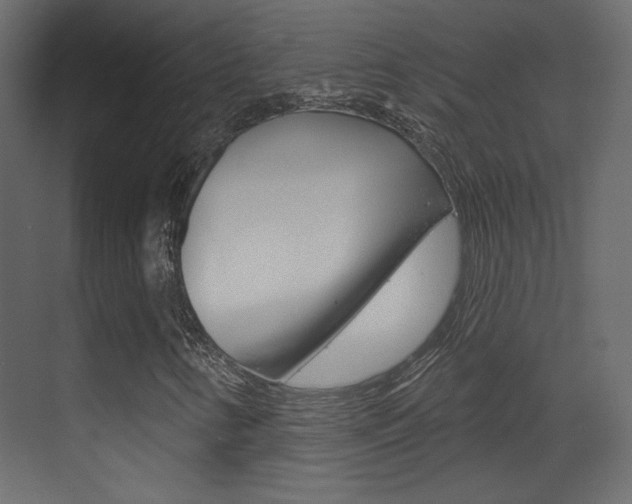 X0000070201346200605261025